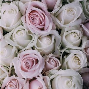 Meet your Posher, Meshavia